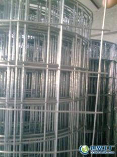 供应电焊网 小丝电焊网在建筑建材领域的应用与选择